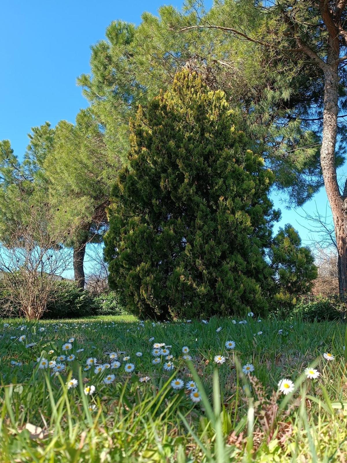 Villa Capricornio Club Diffuso Casa Carlotta Santa Maria della Versa Esterno foto